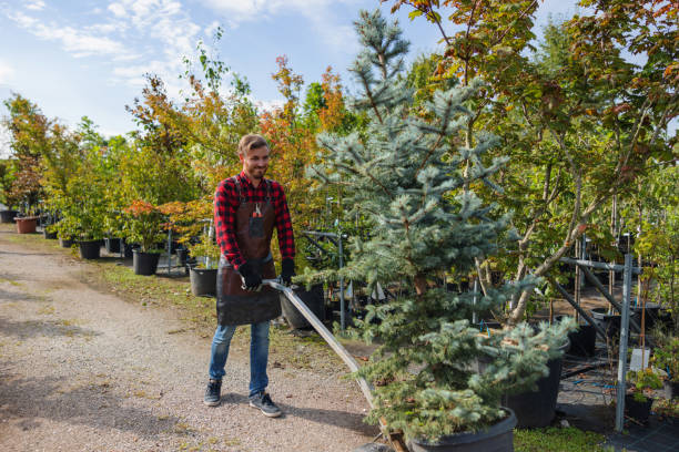 Lawn Maintenance Plans in Ucon, ID